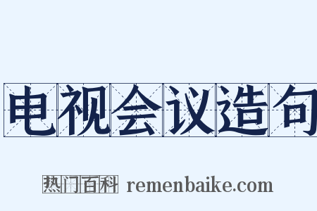 电视会议造句是什么意思的图片
